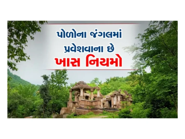 વેકેશનમાં પોળોના જંગલમાં ફરવા ઉપડી ગયા ને આ ભૂલ કરી તો ભારે પડશે, અહી પ્રવેશવાના છે કેટલાક નિયમો