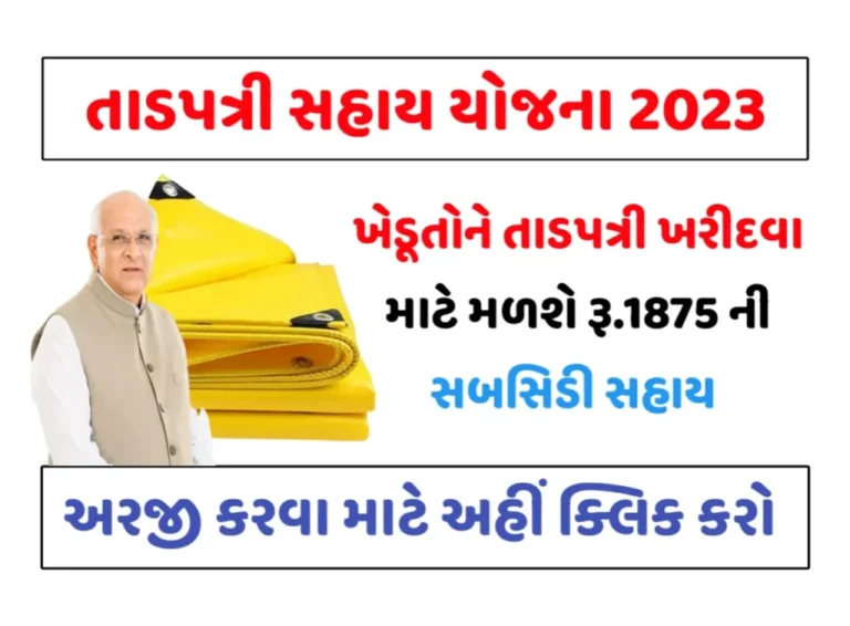 Tadpatri Sahay Yojana 2023: તાડપત્રી સહાય યોજના, જાણો સંપૂર્ણ માહિતી