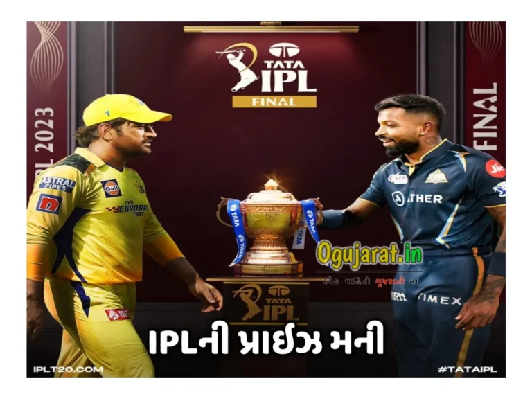 ચેમ્પિયન ટીમ પર થશે પૈસાનો વરસાદ! હારી ગયા તો પણ મળશે કરોડો રૂપિયા, જાણો કેટલી છે IPLની પ્રાઇઝ મની