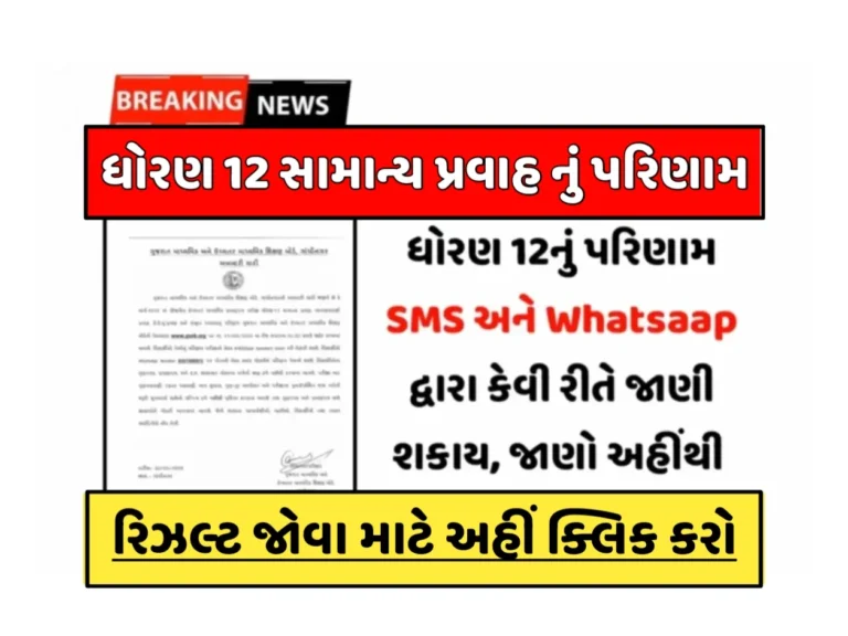 ધોરણ-12 નુ પરિમાણ 2023: જાણો કેવી રીતે ચેક કરશો રીઝલ્ટ