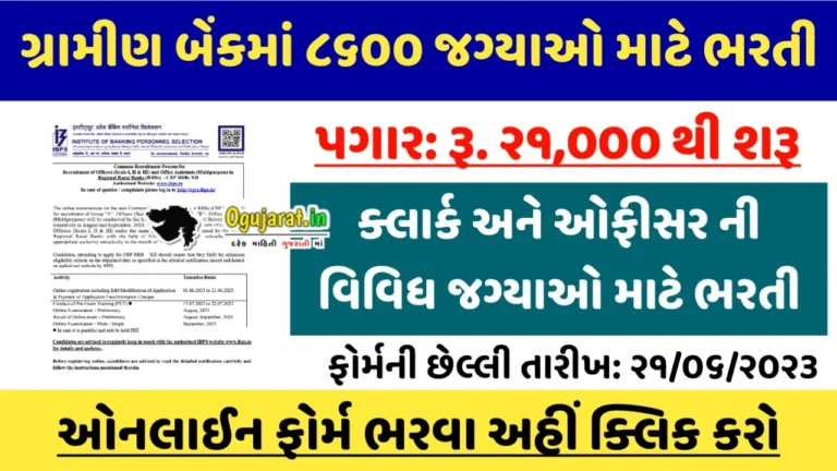 IBPS RRB Notification 2023 Out, Apply For 8612 Posts