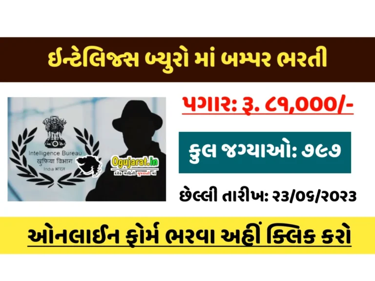 Intelligence Beruo Recruitment 2023