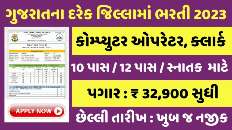 10th 12th Graduate Pass Job Direct recruitment opportunity without exam for 8500 posts in every district and village of Gujarat