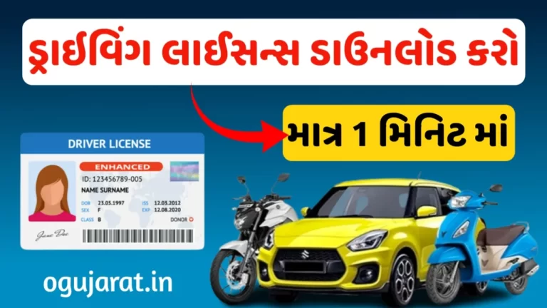 Driving Licence Download PDF Online In Gujarat:માત્ર 1 મિનિટ માં ડ્રાઇવિંગ લાઇસન્સ ડાઉનલોડ કરો