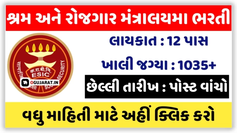 12th Pass Govt Department Recruitment: 12 પાસ માટે શ્રમ અને રોજગાર મંત્રાલયમા ભરતી