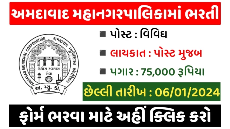 AMC Recruitment 2024 for Various Posts