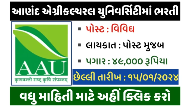 AAU Recruitment 2024