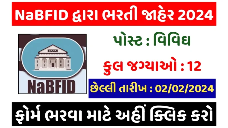 NaBFID Recruitment 2024 for Senior Analyst Posts