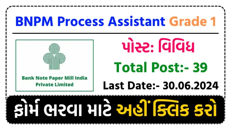 BNPM Process Assistant Recruitment 2024